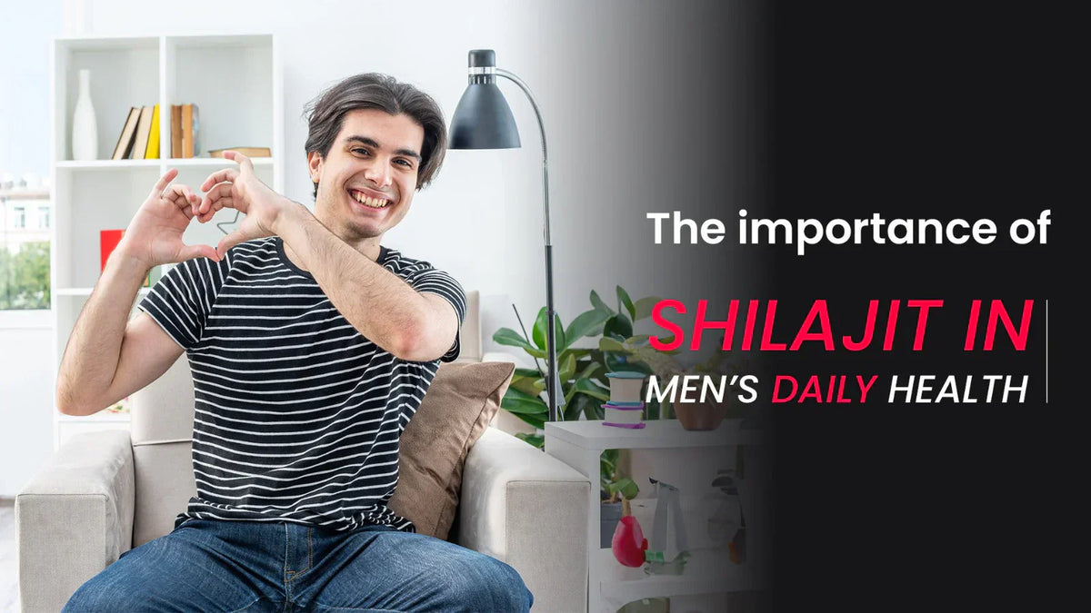 The importance of shilajit in men’s daily health
