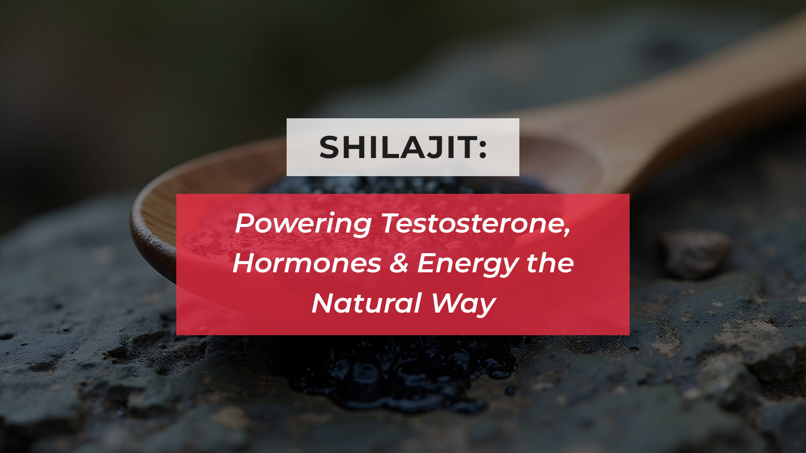 Shilajit: Powering Testosterone, Hormones & Energy the Natural Way