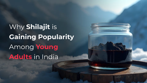 Why Shilajit is Gaining Popularity Among Young Adults in India