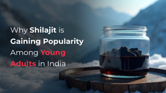 Why Shilajit is Gaining Popularity Among Young Adults in India