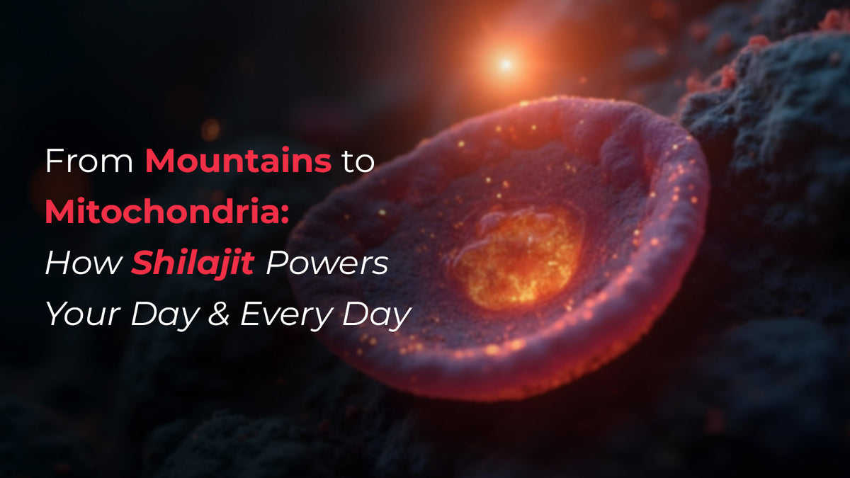 From Mountains to Mitochondria: How Shilajit Powers Your Day & Every Day