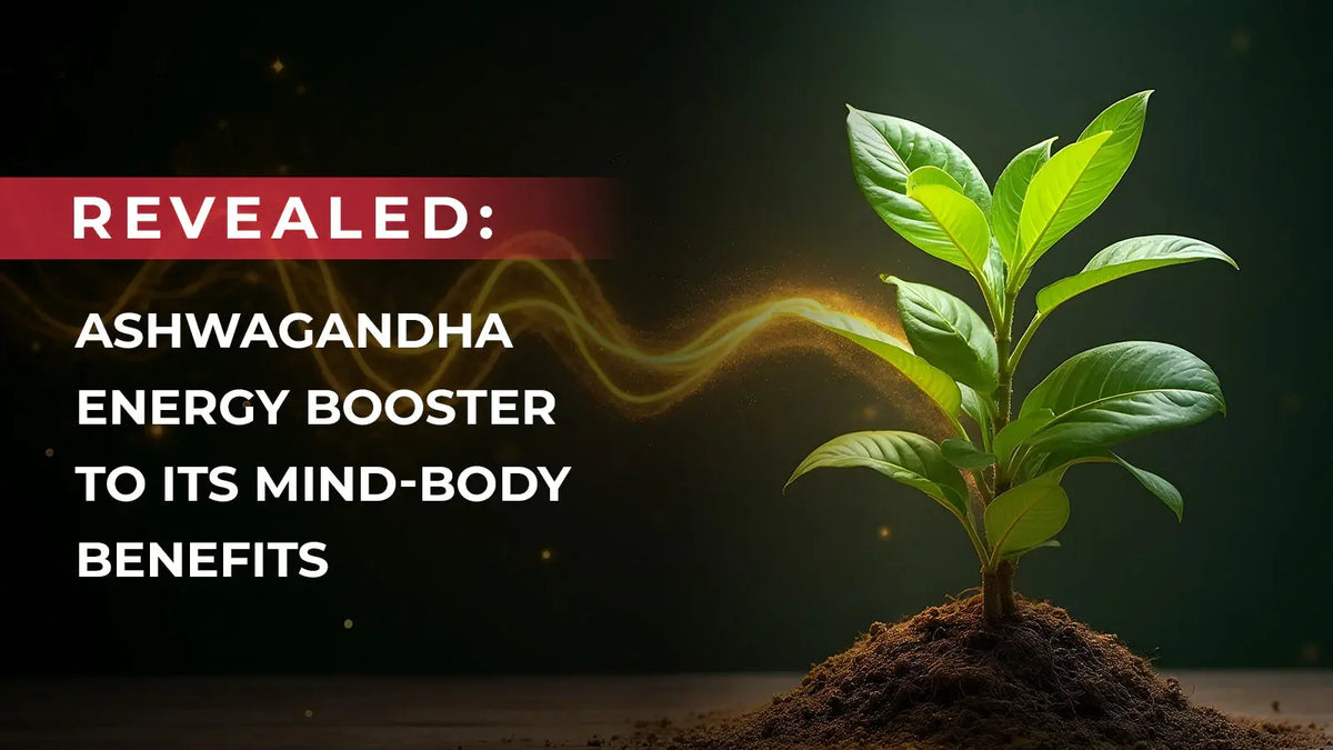 Revealed: Ashwagandha Energy Booster to Its Mind-Body Benefits