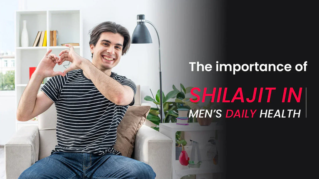 The importance of shilajit in men’s daily health-SEHATUP WELLNESS PRIVATE LIMITED