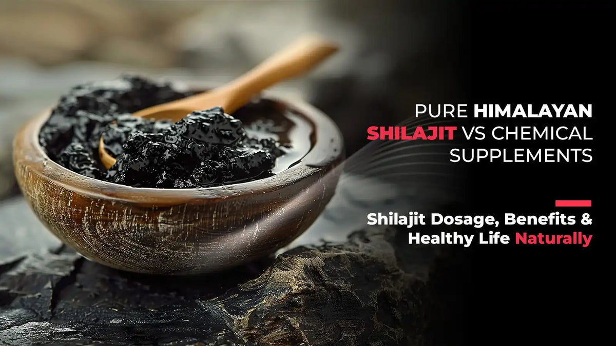 Pure Himalayan Shilajit vs Chemical Supplements : Pure Himalayan Shilajit Dosage, Benefits & Healthy Life Naturally