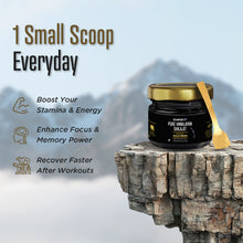 Pure Himalayan Shilajit (24K Gold Resin)